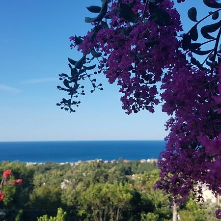 Vila Pogled Petrovac ภายนอก รูปภาพ