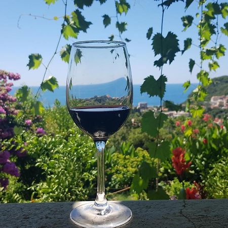 Vila Pogled Petrovac ภายนอก รูปภาพ
