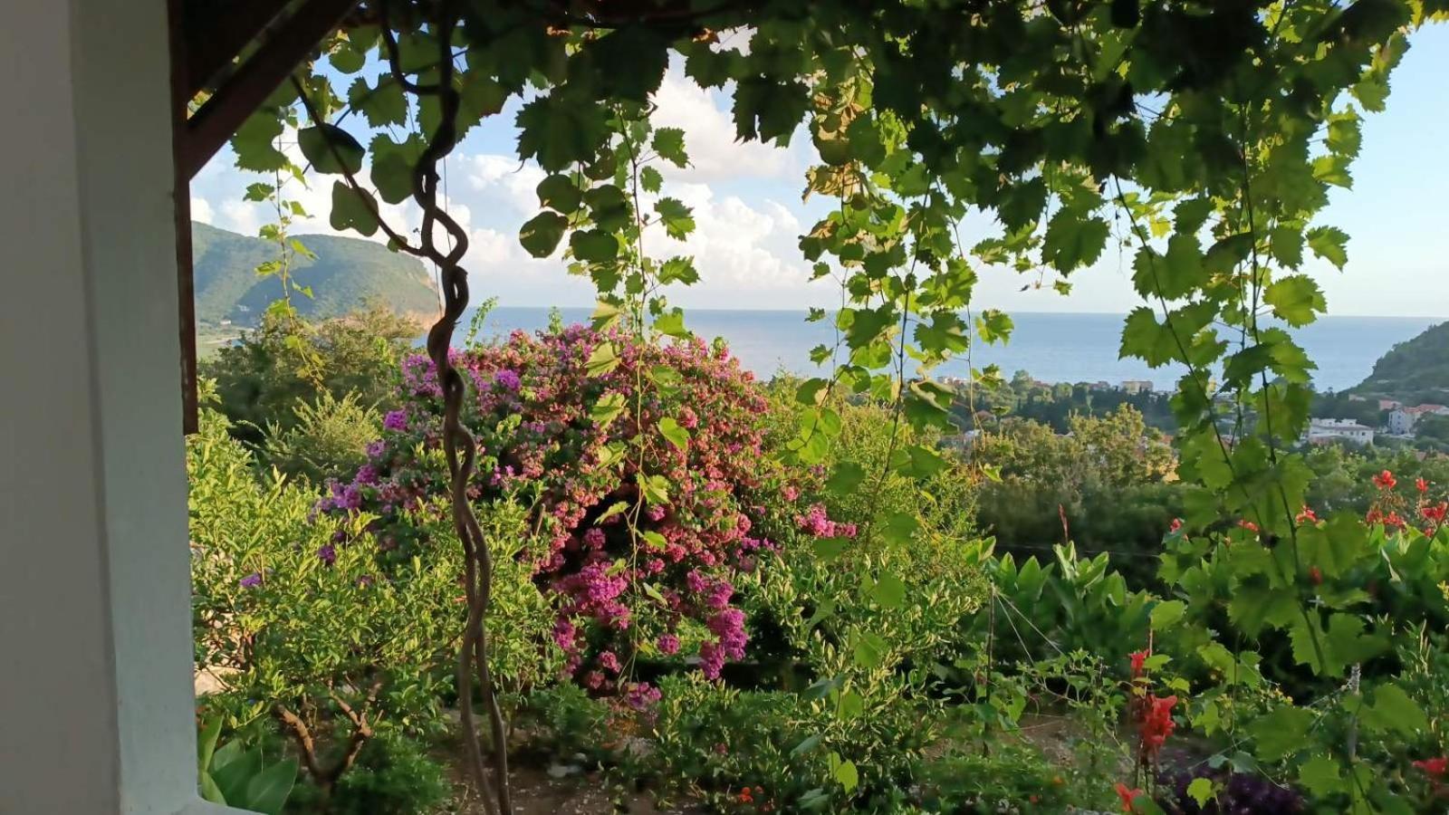 Vila Pogled Petrovac ภายนอก รูปภาพ