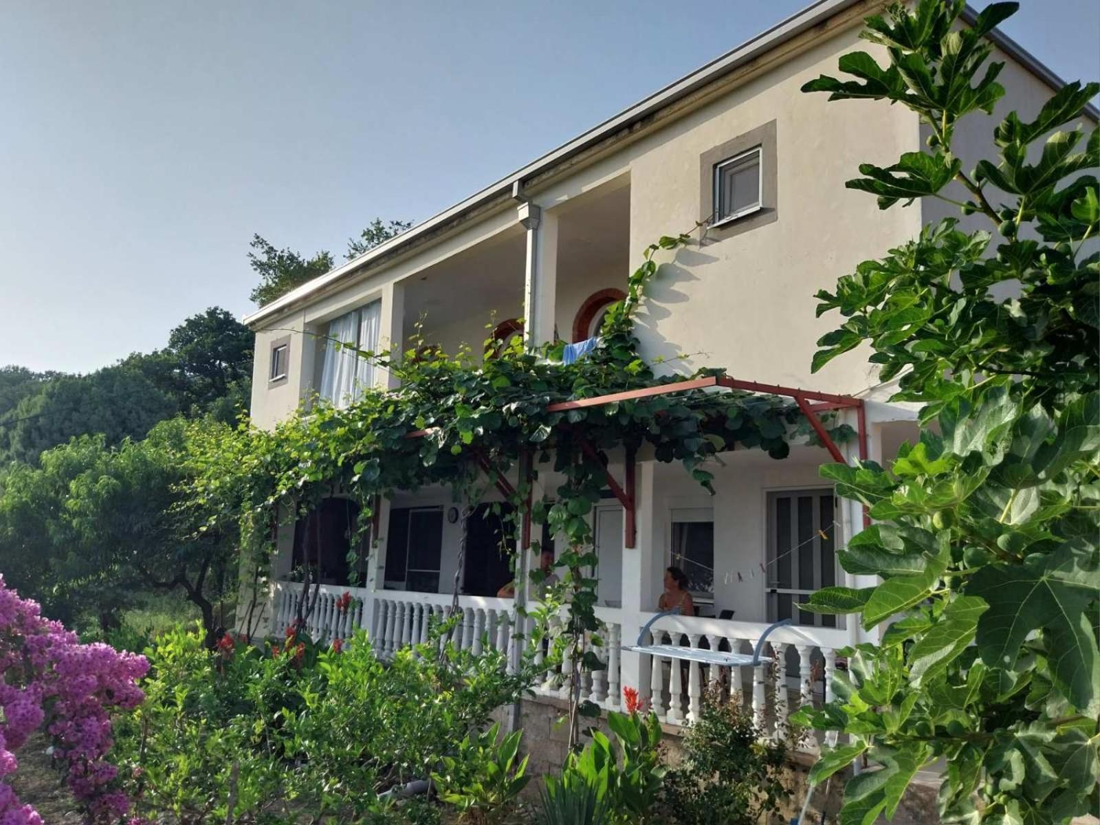 Vila Pogled Petrovac ภายนอก รูปภาพ