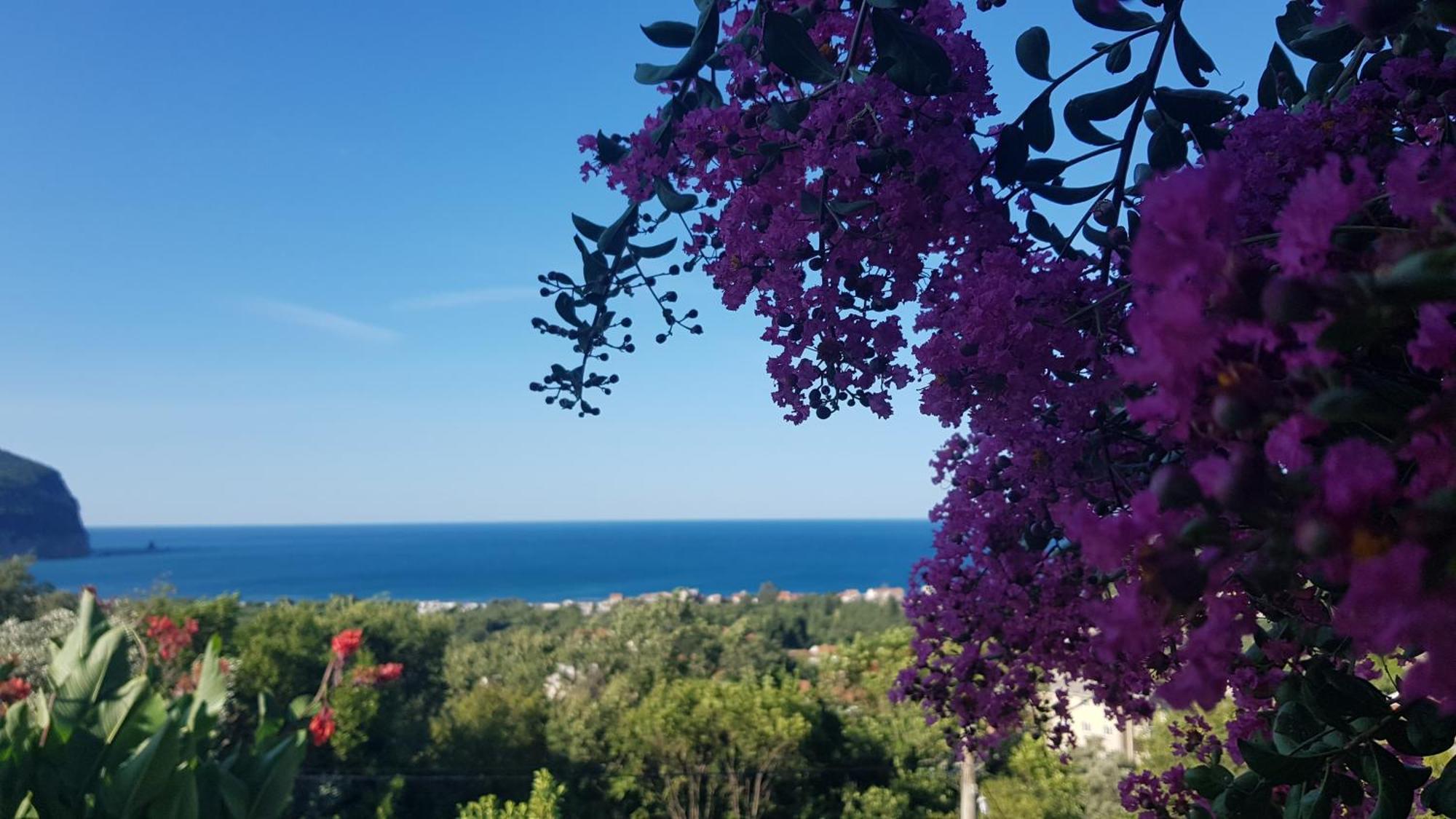 Vila Pogled Petrovac ภายนอก รูปภาพ