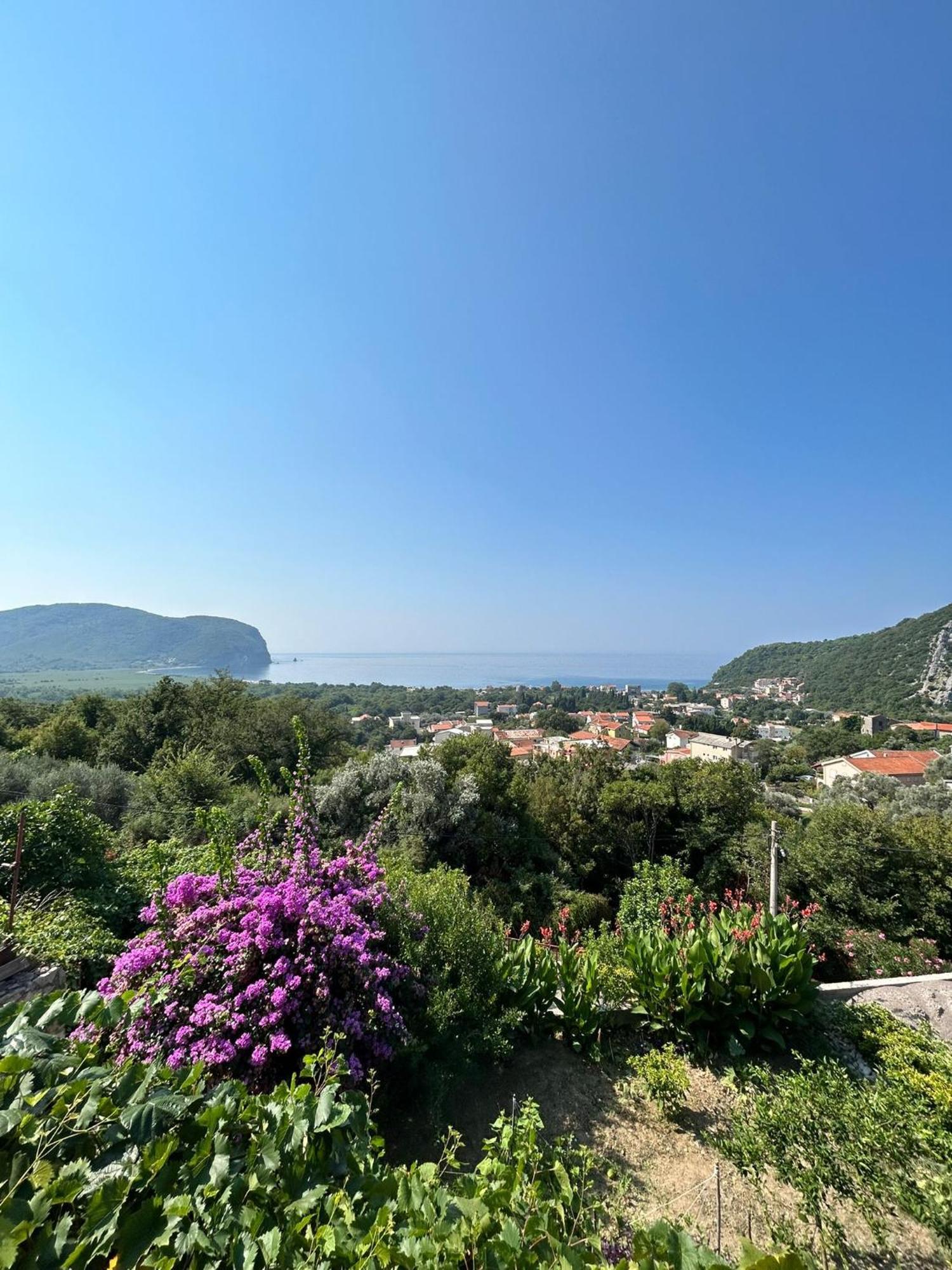 Vila Pogled Petrovac ภายนอก รูปภาพ